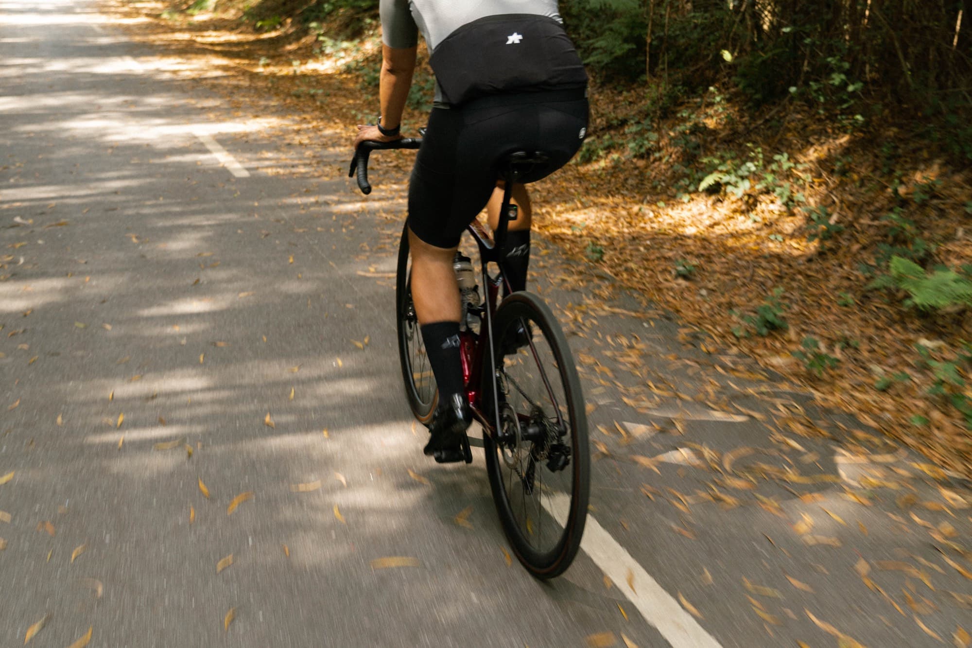 Cyclist on a forest road